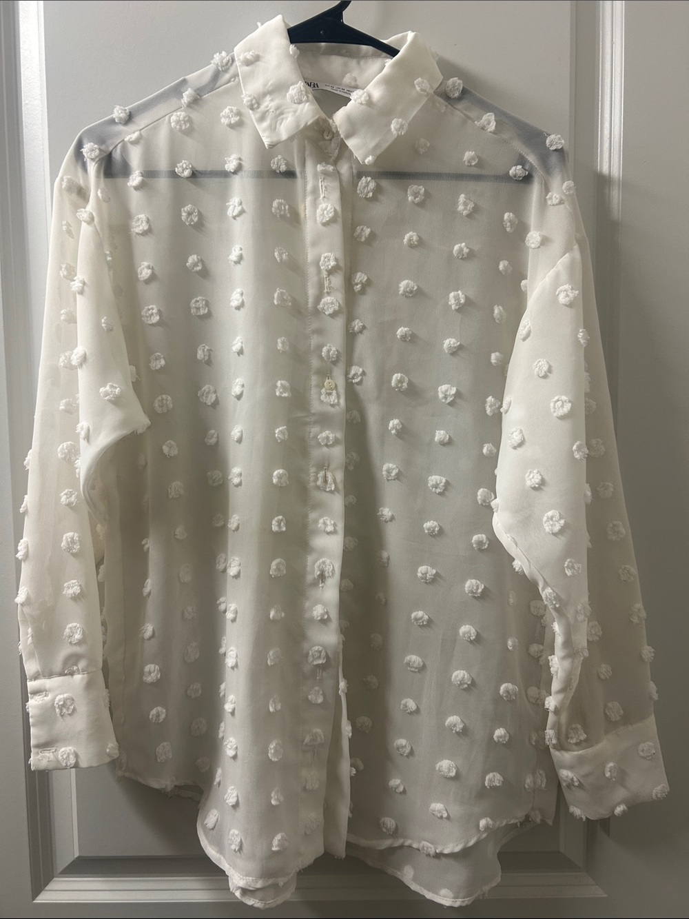 Zara Ivory Swiss Dot Sheer Button-Down Shirt